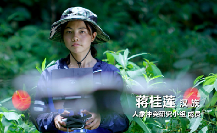 曠野青春 | 雨林中人象如何共生？3個(gè)90后女孩和大象談判