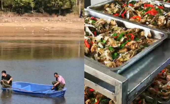 校内湖泊捕鱼2000斤,免费供师生吃