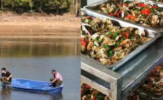 校内湖泊捕鱼2000斤，免费供师生吃