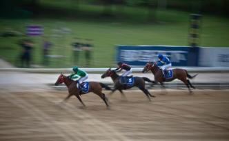 海南省旅文廳：賽馬運(yùn)動指導(dǎo)意見已報審，內(nèi)容及時間表不公開