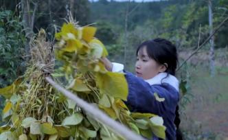 李子柒的“流水线牧歌”