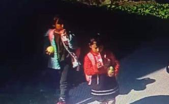 云南怒江兩女童失蹤48小時(shí)，民警：暫無法確定走失還是被拐