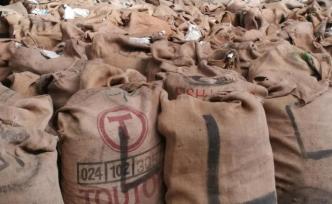 特大走私穿山甲鱗片案告破：逾23噸，約5萬只遭殺戮
