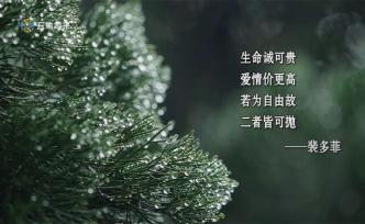 上海歷史：這里曾是紅色策源地