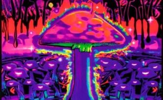 為開發(fā)抗抑郁藥物，科學(xué)家研究了20年……致幻蘑菇？