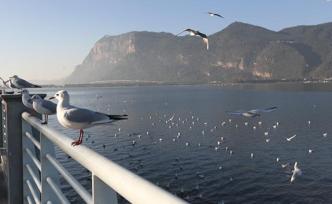 云南發(fā)布12起涉旅典型案件：1家旅行社被吊證，2人被行拘