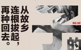 遠(yuǎn)子的2019：北漂十年出了三本書，32歲回到縣城