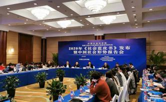 社會(huì)藍(lán)皮書：83.23%的特大城市居民擁有穩(wěn)定就業(yè)狀況