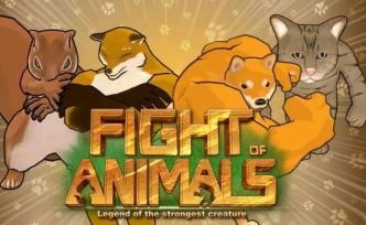 隔壁松鼠今天把我家柴犬“打”了