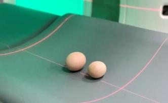 土雞蛋和洋雞蛋有啥區(qū)別？掃個CT看一看