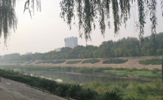 丁克十五年，我们努力让它成为人生的正确答案