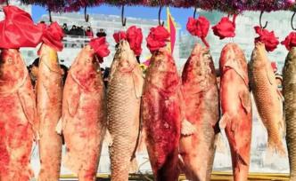 查干湖冬捕頭魚(yú)拍出296萬(wàn)6666元