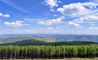 國家林草局：將開展國有林場場長任期森林資源考核和離任審計