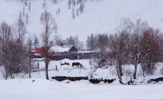 鄉(xiāng)村啃老青年：大起大落，終成“老賴”