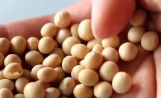 農(nóng)業(yè)農(nóng)村部公布一批農(nóng)業(yè)轉(zhuǎn)基因生物生產(chǎn)應(yīng)用和進(jìn)口安全證書(shū)