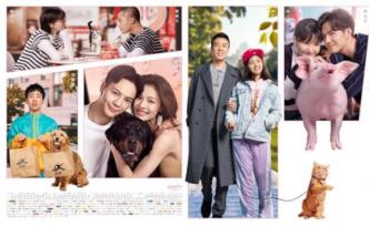 質(zhì)量平平的《寵愛(ài)》怎么就爆了？