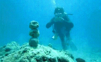 你這么胖，一定不是玩潛水的