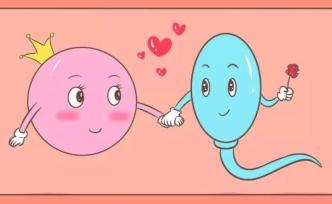 受精卵迷路之后，到底發(fā)生了什么？