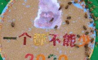 果盘直径12米！护林员为数千只猕猴摆宴