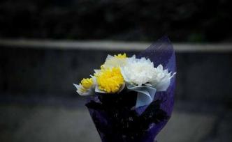 楊文醫(yī)生被追授民航優(yōu)秀共產(chǎn)黨員、首都健康衛(wèi)士特殊榮譽(yù)稱(chēng)號(hào)