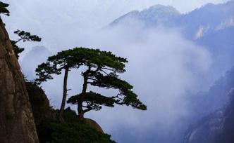 歲末年初又一位大師遠(yuǎn)去，2018年以來65位院士逝世
