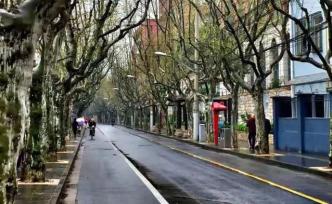 一個盧灣居民的思南路遐思