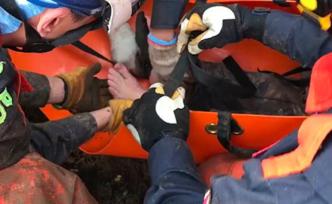 “黑鷹”失事被困女記者已救出，系“軍聞社”第一位女新聞官