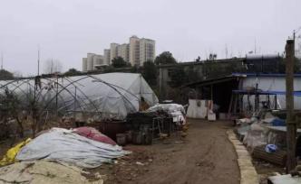 儀征拆遷命案調(diào)查：糾紛六年未解，兇手給鎮(zhèn)政府寫(xiě)信稱(chēng)起殺機(jī)