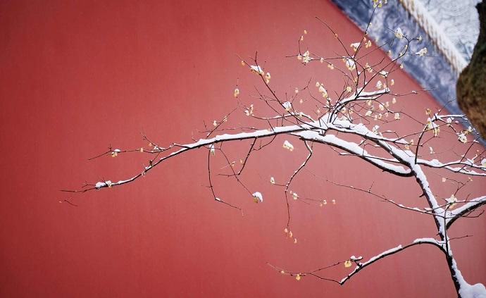 2022年的第一場雪，開啟全新的旅程