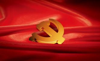 上海市委黨的建設(shè)工作領(lǐng)導(dǎo)小組：把干實(shí)事出實(shí)效作為重要檢驗(yàn)