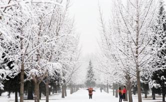 習(xí)近平：瑞雪兆豐年
