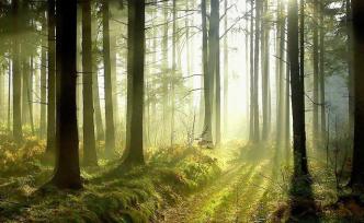 國家森林草原防滅火指揮部辦公室組織開展春節(jié)執(zhí)法檢查