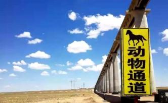 横穿新疆卡山保护区的铁路开通，设有蹄类动物专用通道5座