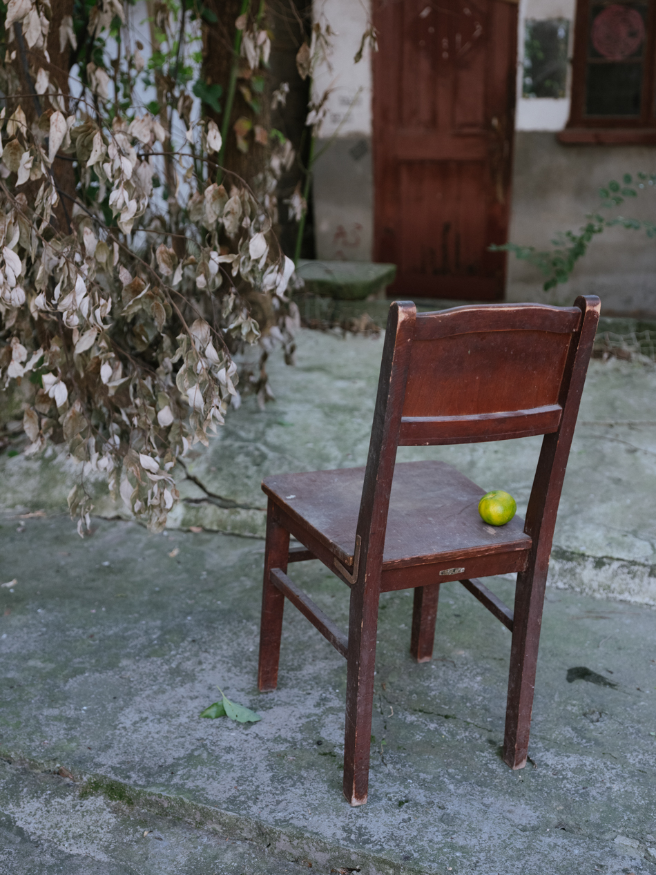 20-住在金家坊99弄院子里的大爺用竹竿敲下了樹上的橘子