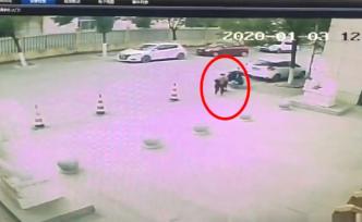 家人報(bào)警“8歲男孩走失”：原是獨(dú)自徒步兩小時(shí)回校拿作業(yè)本