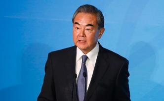 王毅：中國始終做中東和平建設(shè)者、穩(wěn)定促進(jìn)者、發(fā)展貢獻(xiàn)者