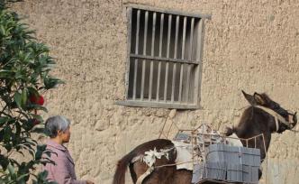 青年畫家到麗水古村畫騾子 處女畫展 《馱山 》引大咖肯定