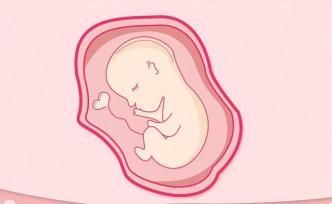 修盆底肌和修電視機(jī)有什么關(guān)系？