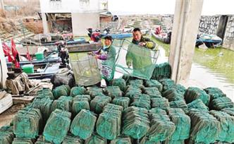 “巢湖十年禁渔”四问：为何要禁？怎样真禁？渔民如何安置？