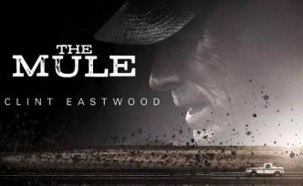 排片再少，我也会去电影院支持这位九十岁大师