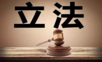 梳理：2019年十大立法脈絡(luò)