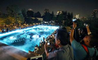 去年訪日游客數(shù)量增速減緩，全年訪日游客為3188萬人