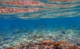 中外科學(xué)家聯(lián)合發(fā)布：2019年是有記錄以來(lái)海洋最暖一年