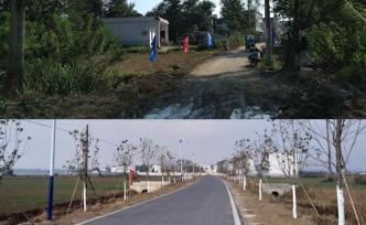 新春走基層丨建筑總工“跨界”做扶貧村官