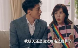 《爱情公寓5》：都2020了，还宣传“怀孕不能养宠物”？