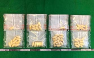 港澳海关联合行动，强力打击两地跨境贩毒活动