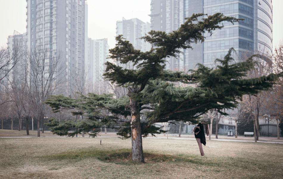 18 南湖公園 South Lake Park  2016年，北京望京南湖公園里的一棵松樹上掛著一件襯衣，干冷的天氣伴著輕微的霧霾，那天公園里幾乎沒有人。 拷貝