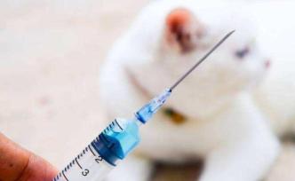 逢年過節(jié)最怕寶寶磕碰被寵物咬？破傷風(fēng)、狂犬病疫苗了解一下