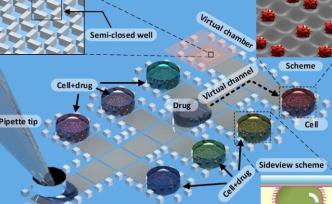 澳大發(fā)明新腫瘤藥物篩選技術(shù)，可助醫(yī)生對癌癥病人精準用藥 
