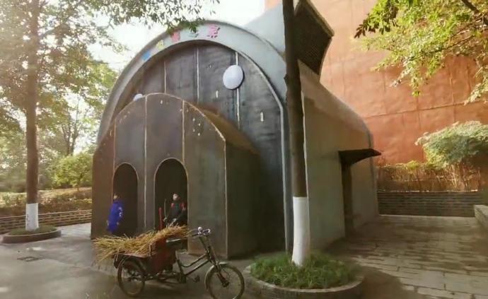 12歲“豬堅(jiān)強(qiáng)”搬新家，住獨(dú)棟“別墅”